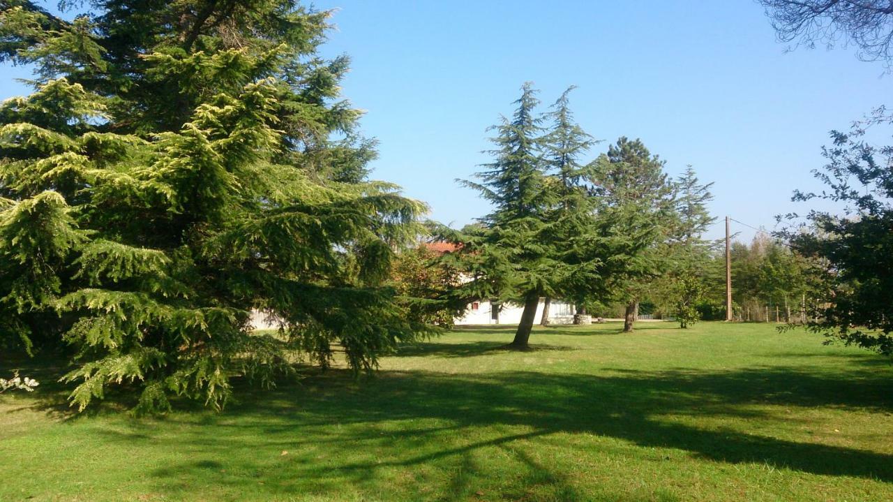 Miramont-de-Guyenne Le Pontet B&B 외부 사진